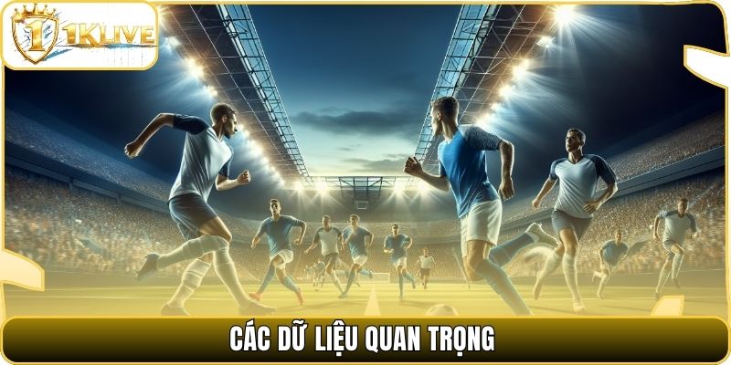 Các dữ liệu quan trọng