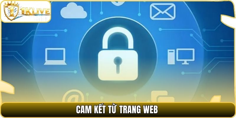 Cam kết từ trang web